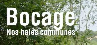 Bocage, our common hedges