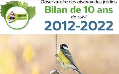 10 years of garden bird monitoring…